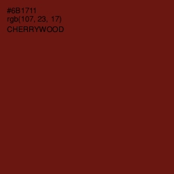 #6B1711 - Cherrywood Color Image