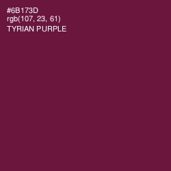 #6B173D - Tyrian Purple Color Image