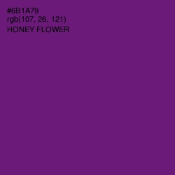 #6B1A79 - Honey Flower Color Image