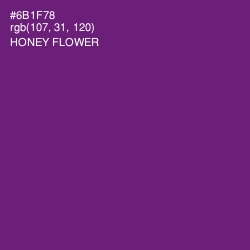 #6B1F78 - Honey Flower Color Image