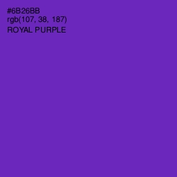 #6B26BB - Royal Purple Color Image
