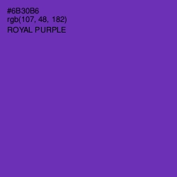 #6B30B6 - Royal Purple Color Image