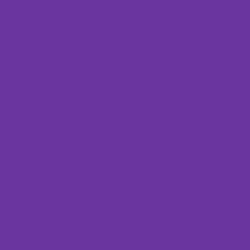 #6B35A0 - Royal Purple Color Image