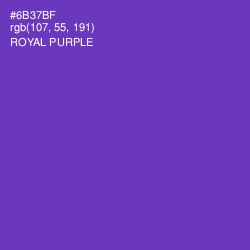 #6B37BF - Royal Purple Color Image