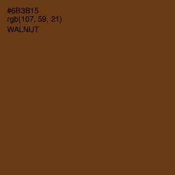 #6B3B15 - Walnut Color Image