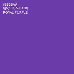 #6B3BAA - Royal Purple Color Image