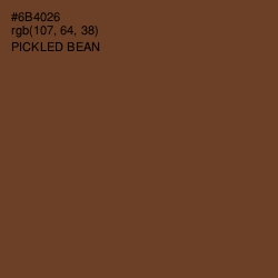 #6B4026 - Pickled Bean Color Image