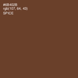 #6B402B - Spice Color Image