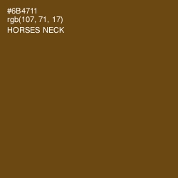 #6B4711 - Horses Neck Color Image