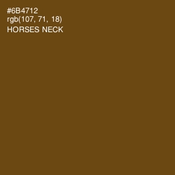 #6B4712 - Horses Neck Color Image