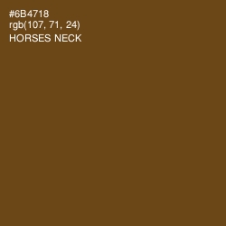 #6B4718 - Horses Neck Color Image