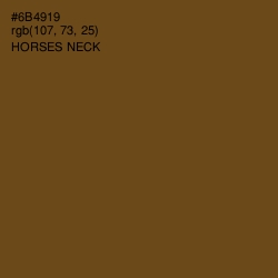 #6B4919 - Horses Neck Color Image