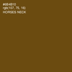 #6B4B10 - Horses Neck Color Image