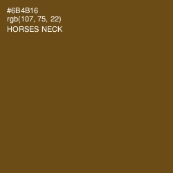 #6B4B16 - Horses Neck Color Image