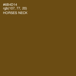 #6B4D14 - Horses Neck Color Image