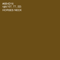 #6B4D16 - Horses Neck Color Image