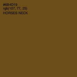 #6B4D19 - Horses Neck Color Image