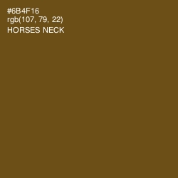 #6B4F16 - Horses Neck Color Image