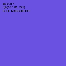 #6B51E1 - Blue Marguerite Color Image