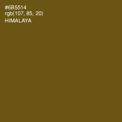 #6B5514 - Himalaya Color Image