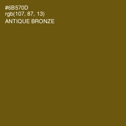 #6B570D - Antique Bronze Color Image