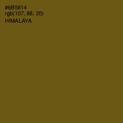 #6B5814 - Himalaya Color Image