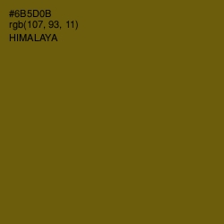 #6B5D0B - Himalaya Color Image