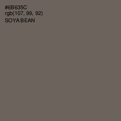 #6B635C - Soya Bean Color Image