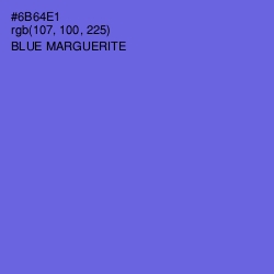 #6B64E1 - Blue Marguerite Color Image