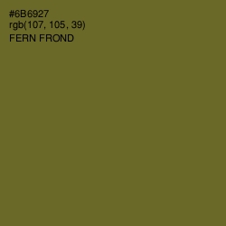 #6B6927 - Fern Frond Color Image