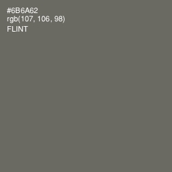 #6B6A62 - Flint Color Image