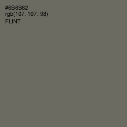 #6B6B62 - Flint Color Image