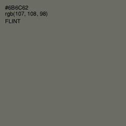 #6B6C62 - Flint Color Image