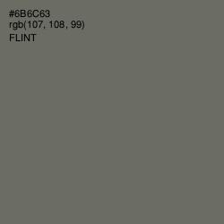 #6B6C63 - Flint Color Image