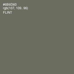 #6B6D60 - Flint Color Image