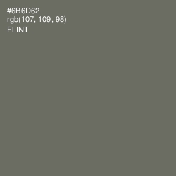 #6B6D62 - Flint Color Image