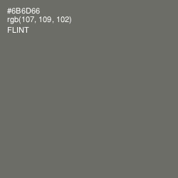 #6B6D66 - Flint Color Image