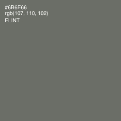 #6B6E66 - Flint Color Image