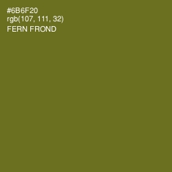 #6B6F20 - Fern Frond Color Image