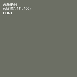 #6B6F64 - Flint Color Image