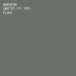 #6B6F66 - Flint Color Image