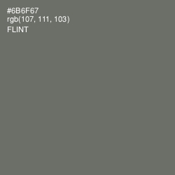 #6B6F67 - Flint Color Image