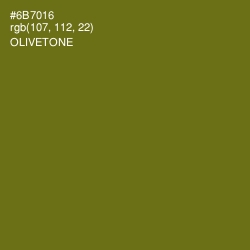#6B7016 - Olivetone Color Image