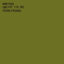 #6B7023 - Fern Frond Color Image