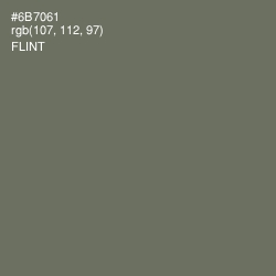 #6B7061 - Flint Color Image
