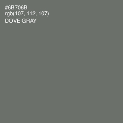 #6B706B - Dove Gray Color Image