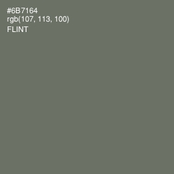 #6B7164 - Flint Color Image