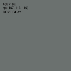 #6B716E - Dove Gray Color Image