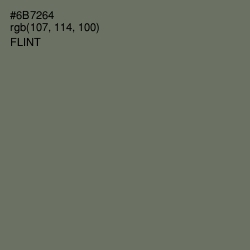 #6B7264 - Flint Color Image