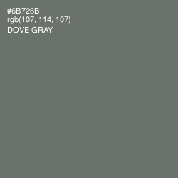 #6B726B - Dove Gray Color Image